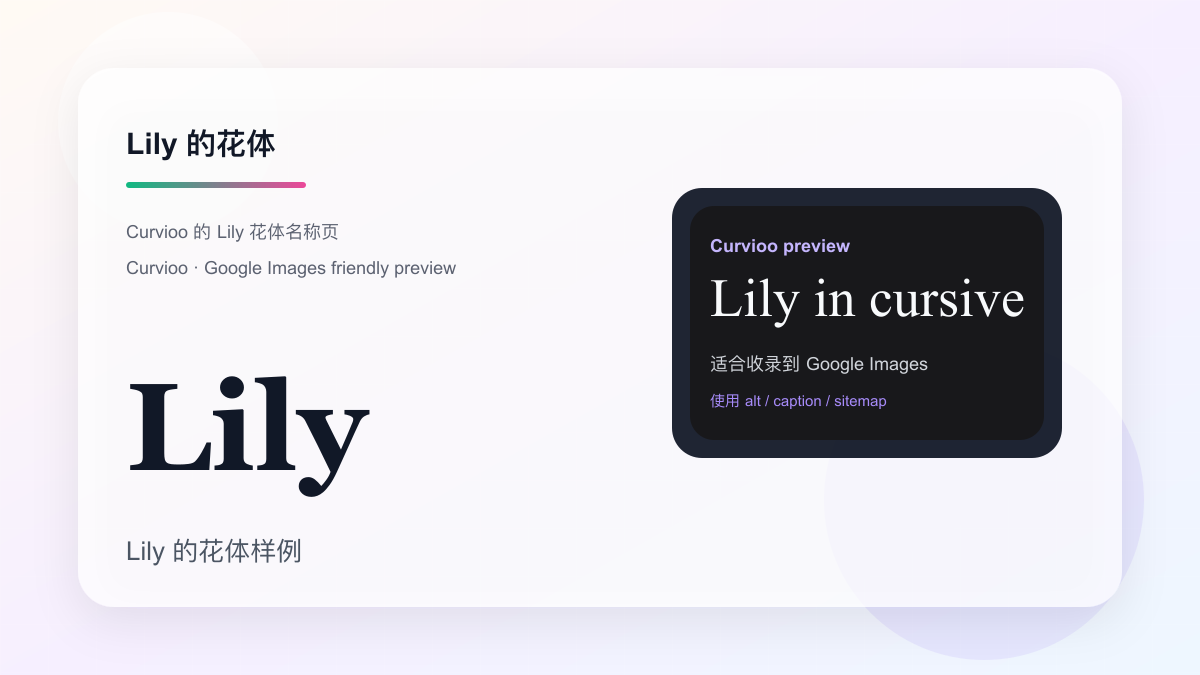 Curvioo 的 Lily 花体预览