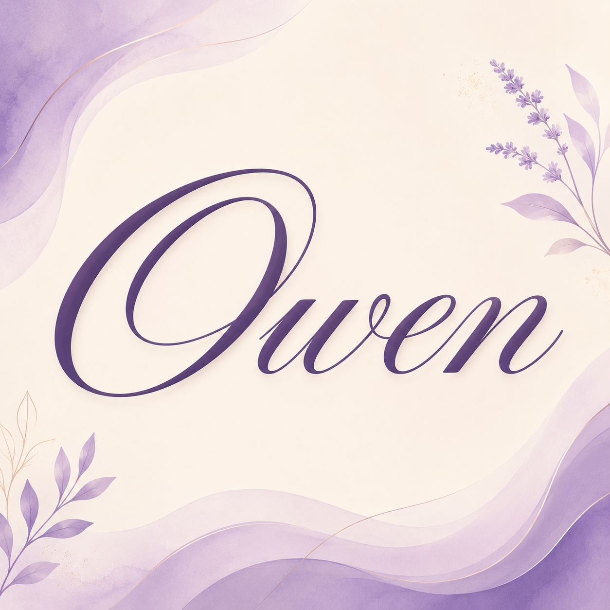 Curvioo cursive preview for the name Owen
